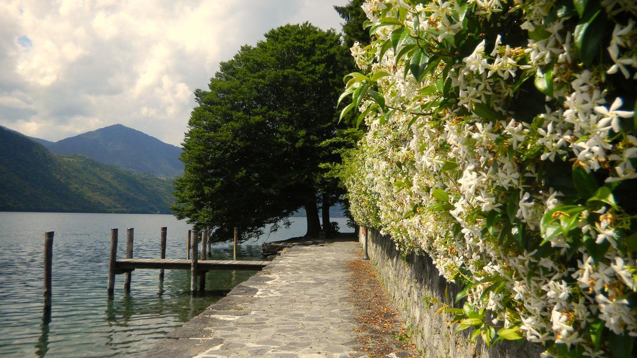 Bed and Breakfast Il Nido Del Pettirosso Borgomanero Exterior foto